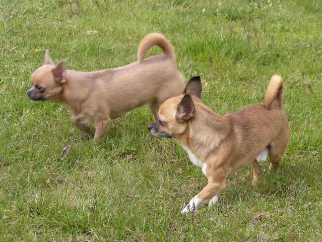 spolu1.jpg